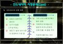 [A+팀프로젝트]미원의 해외진출 사례 12페이지