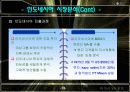 [A+팀프로젝트]미원의 해외진출 사례 13페이지