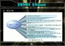 [A+팀프로젝트]미원의 해외진출 사례 29페이지