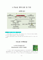 기능성 화장품별 성분 설명 및 기전 3페이지