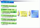 미국,일본,한국의 금융개혁 16페이지