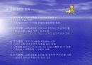교육내용의 선정과 조직 6페이지