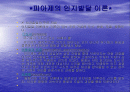 피아제의 인지발달이론 1페이지