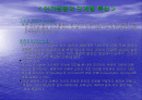 피아제의 인지발달이론 2페이지