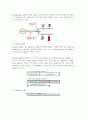 IP & Subnetting 5페이지