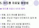 청소년을 대상으로한 여드름 예방 및 치료 교육 발표 15페이지