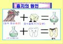 [보건 교육] 충치의 원인과 예방법 알아보기 15페이지