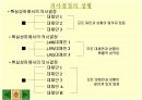  경영 의사결정 5페이지