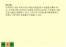  경영 의사결정 14페이지