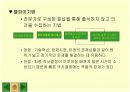  경영 의사결정 17페이지