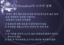 관광마케팅믹스_팀프로젝트 14페이지