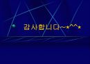 자이 광고 분석 11페이지