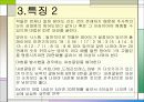 모바일게임기획서입니다 6페이지