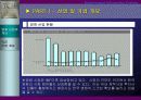 태창 엔터테인먼트의 e-business model 구축 5페이지