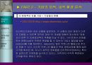태창 엔터테인먼트의 e-business model 구축 21페이지