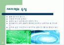 세라믹스에대하여 3페이지