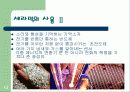 세라믹스에대하여 10페이지
