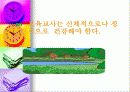 [영유아 보육] 보육교사의 자질과 역할 4페이지