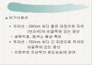 광질이 식물에 주는 영향 4페이지