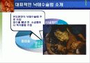 낙태와 피임 9페이지