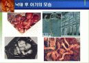 낙태와 피임 13페이지