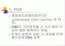PCR (RT-PCR, Real time PCR)과 Western blot 3페이지