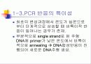 PCR (RT-PCR, Real time PCR)과 Western blot 9페이지