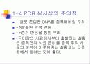 PCR (RT-PCR, Real time PCR)과 Western blot 10페이지