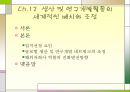 생산 및 연구개발활동의 세계적인 배치와 조정 2페이지