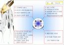 패밀리 레스토랑의 성공사례 분석 14페이지