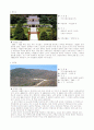 도시사회학-충남 예산군을 중심으로 8페이지