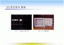  컴퓨터와 정보화 사회 7페이지