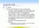  컴퓨터와 정보화 사회 15페이지