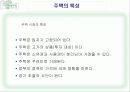 주택문제에 대한 시장과 정부의 입장 5페이지