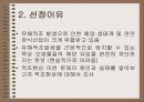 적조의 이해와 대책 3페이지