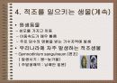 적조의 이해와 대책 6페이지