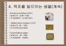 적조의 이해와 대책 7페이지