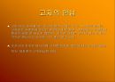 공녀와 환향녀 15페이지