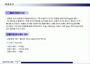 KT&G의 RAISON 담배의 마케팅전략 분석 28페이지