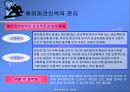 글로벌 기업의 조직구조와 인적자원관리 21페이지