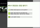 GUCCI 의 신화 26페이지