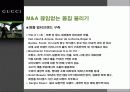 GUCCI 의 신화 30페이지