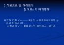 프랭크 로이드 라이트 9페이지