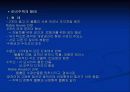 프랭크 로이드 라이트 21페이지
