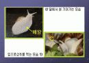 달팽이란 4페이지
