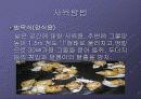달팽이란 7페이지