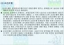 일제식민지 지배구조와 그 기능에 대한 분석 11페이지