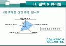 경영학적 관점에서 기업의 성공사례 분석 - 팬택 & 큐리텔 10페이지