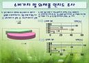 휘트니스 클럽 사업계회서 13페이지