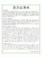 [Resume] -영문이력서& Personal History(해석본 포함) 4페이지